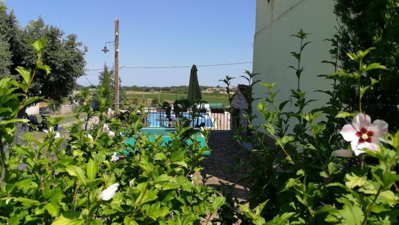 Moratto'S Apartments Umag Luaran gambar