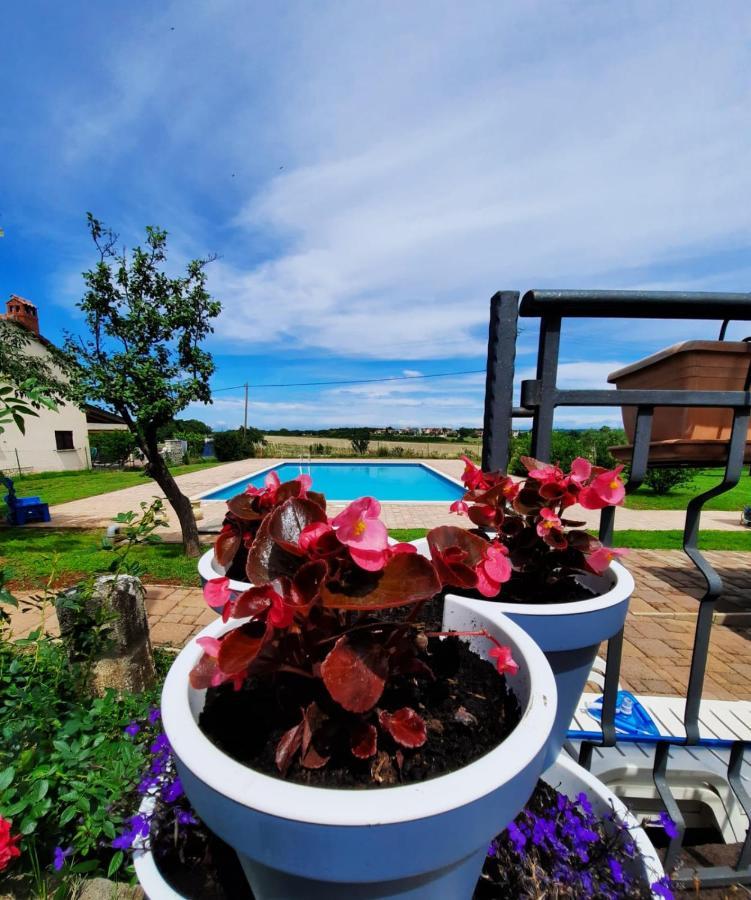 Moratto'S Apartments Umag Luaran gambar